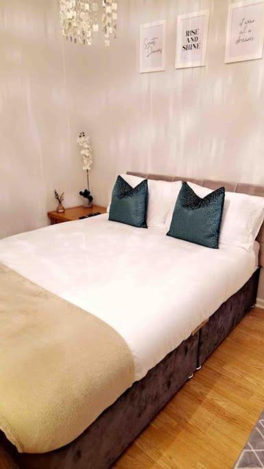16 Stewart'S Terrace Derry City Bt48 7Lj Villa Ngoại thất bức ảnh